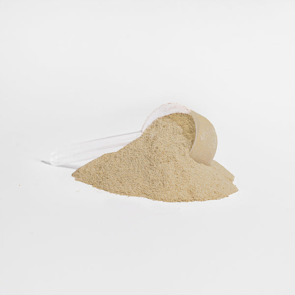 Vanilla Power Protein